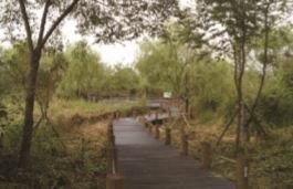 Noeul Park Noeulgil Trail
