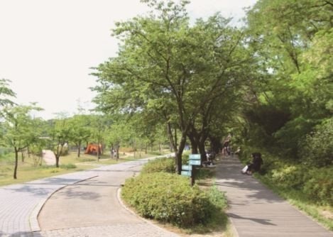 Buk Seoul Dream Forest Nadeulgil Trail