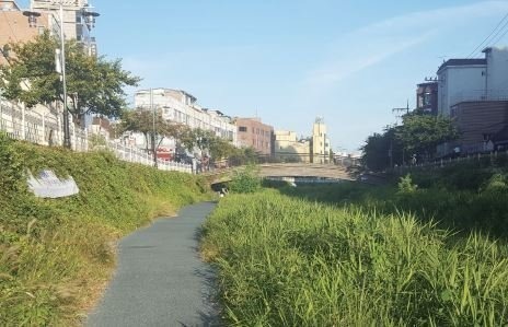 Seongbukcheon Stream